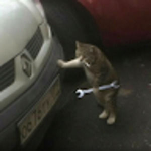 Meet your Posher, Sean